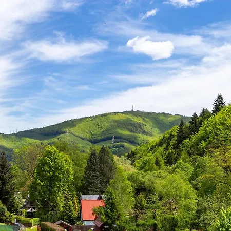 Osrodek Nad Wodospadem 3* Międzybrodzie Bialskie