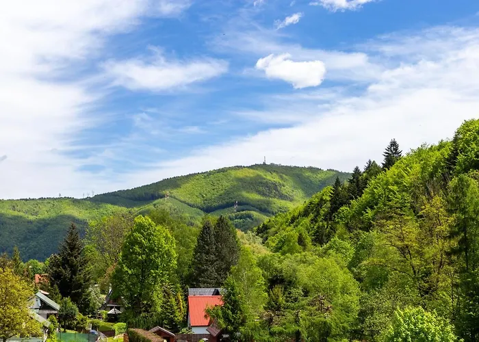 Osrodek Nad Wodospadem 3* Miedzybrodzie Bialskie